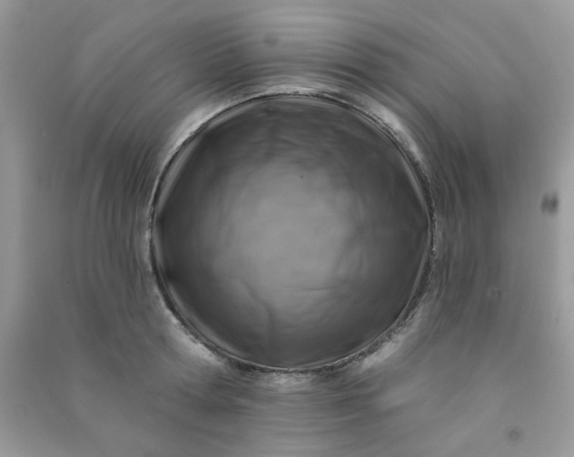 X0000091000802200708161937