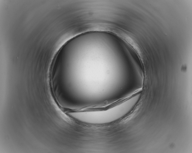 X0000091000803200708161937