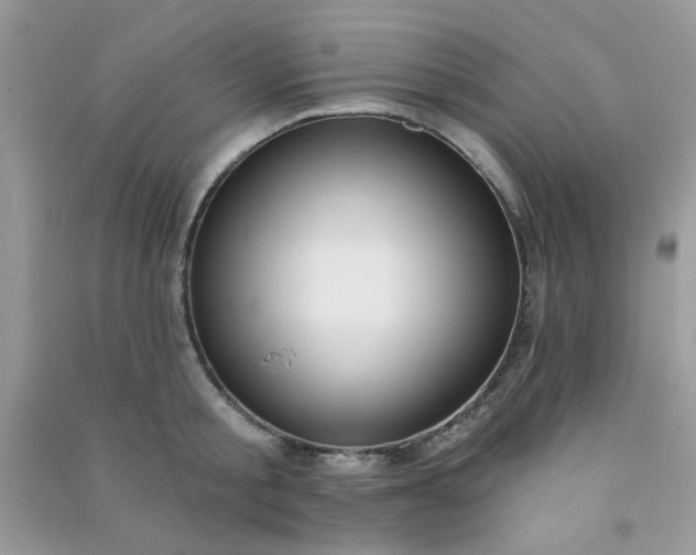 X0000091000805200708161937