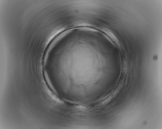 X0000091000806200708161937