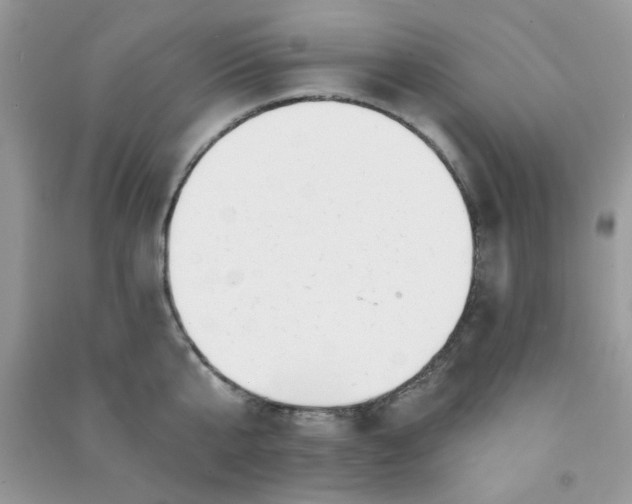 X0000091000807200708161937