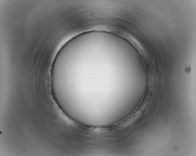 X0000091000808200708161937
