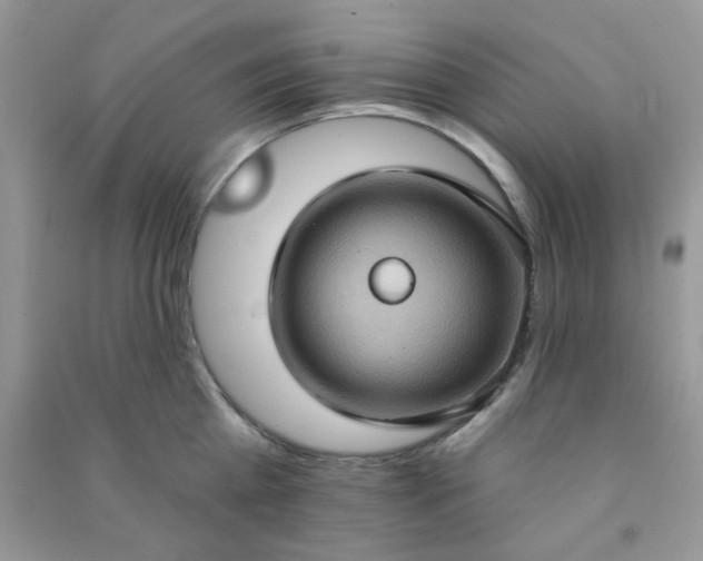 X0000091000809200708161937