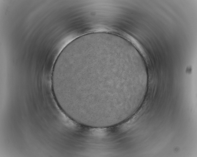 X0000091000810200708161937
