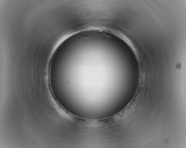 X0000091000811200708161937