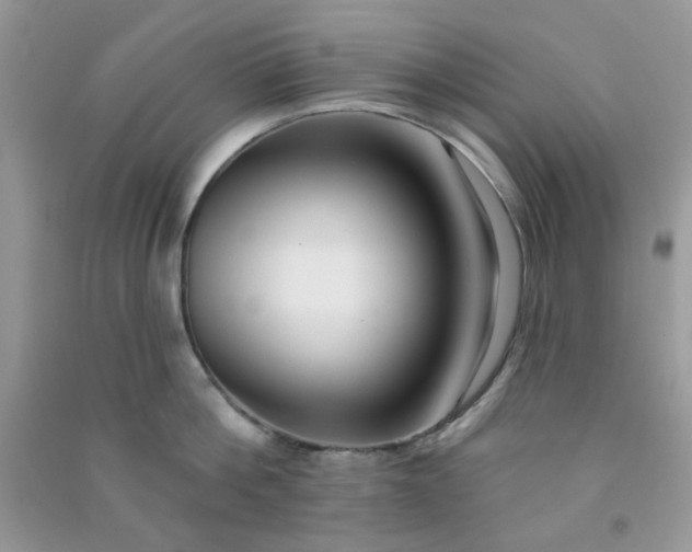 X0000091000812200708161937