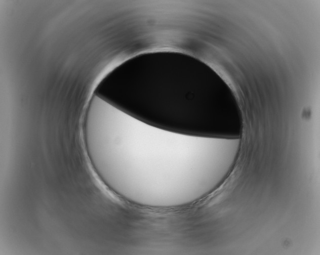X0000091000813200708161937