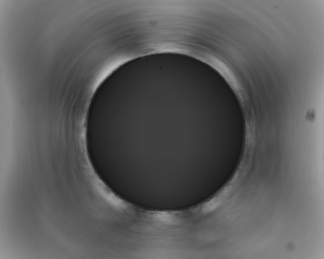 X0000091000814200708161937