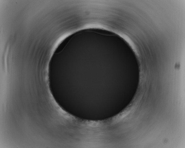 X0000091000815200708161937