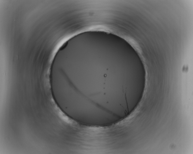 X0000091000816200708161937