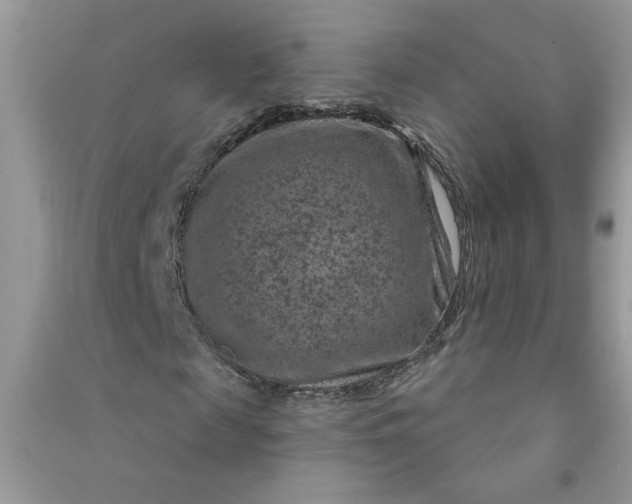 X0000091000817200708161936