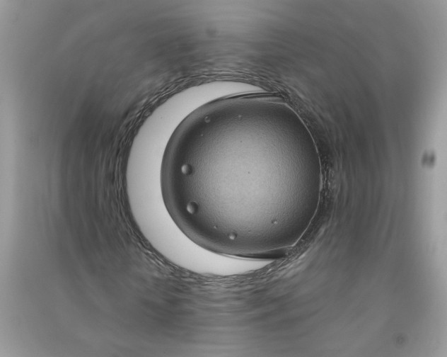 X0000091000818200708161936