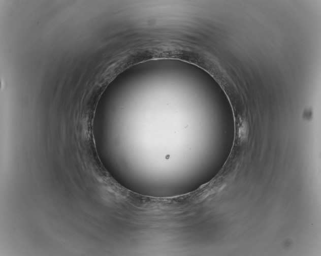 X0000091000819200708161936