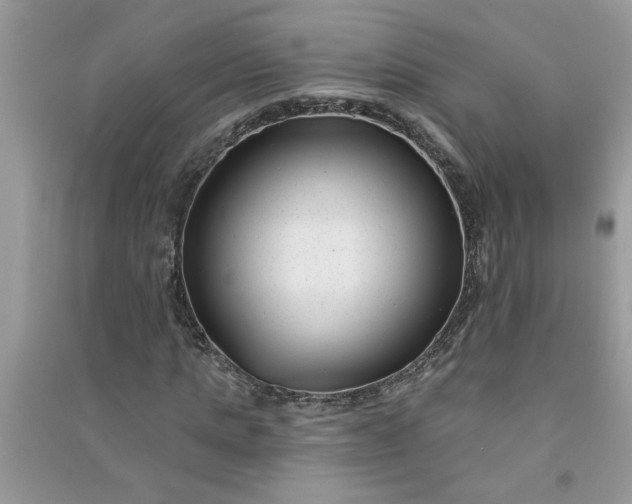X0000091000821200708161936