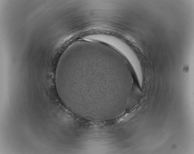 X0000091000822200708161936