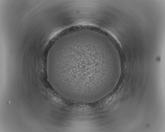 X0000091000823200708161936