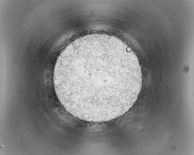 X0000091000824200708161936