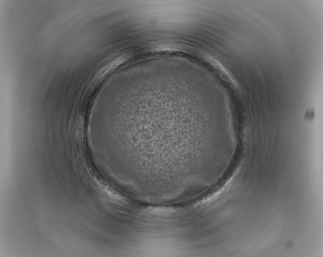 X0000091000825200708161936