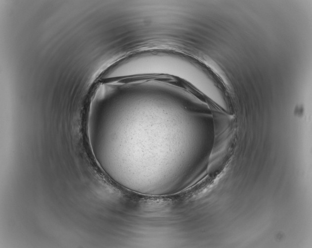 X0000091000826200708161936