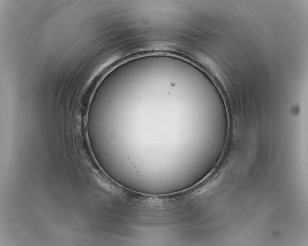 X0000091000827200708161936