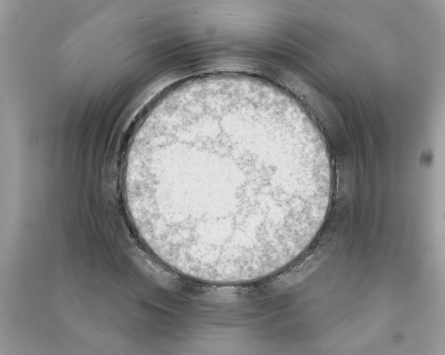 X0000091000828200708161936