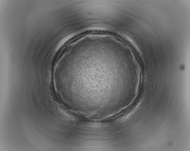 X0000091000829200708161936