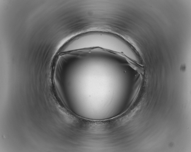 X0000091000830200708161936