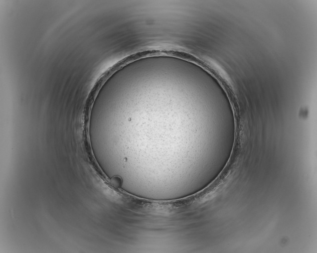 X0000091000831200708161936
