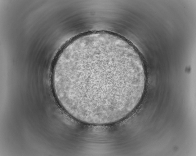 X0000091000832200708161936