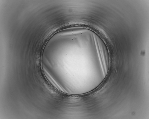 X0000091000833200708161936