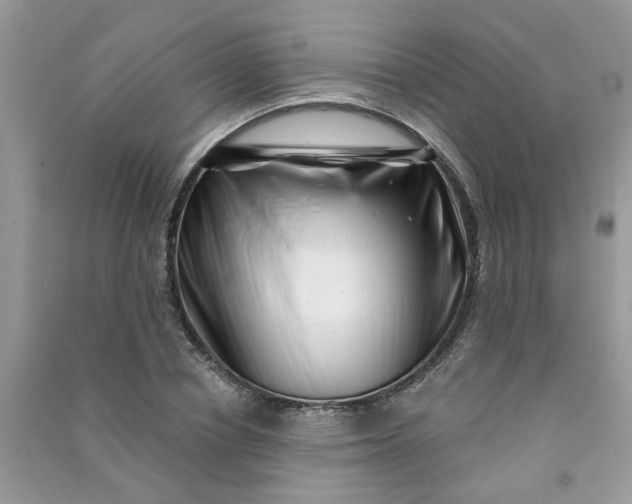 X0000091000834200708161936