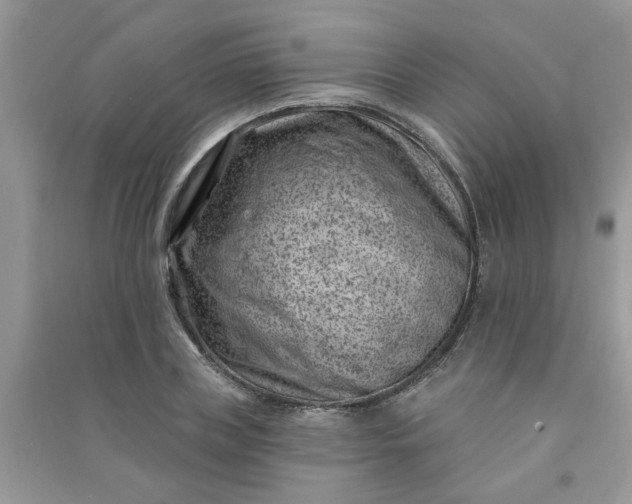 X0000091000835200708161936