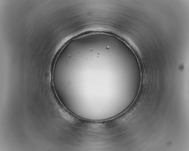 X0000091000837200708161936