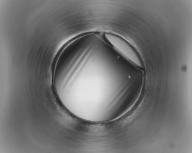X0000091000838200708161936