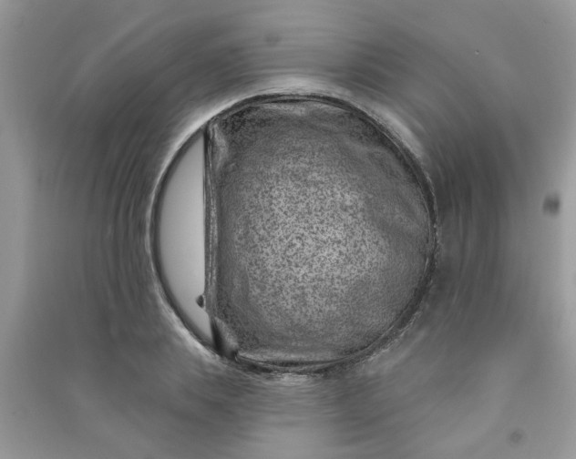 X0000091000839200708161936