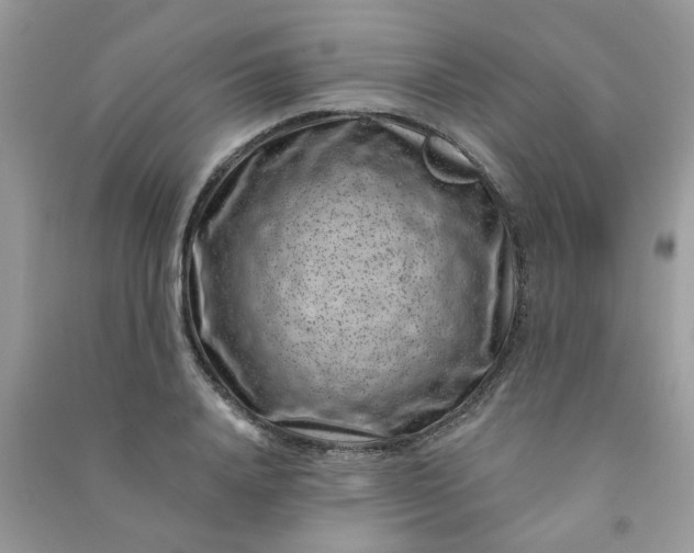 X0000091000840200708161936
