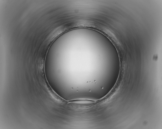 X0000091000841200708161936
