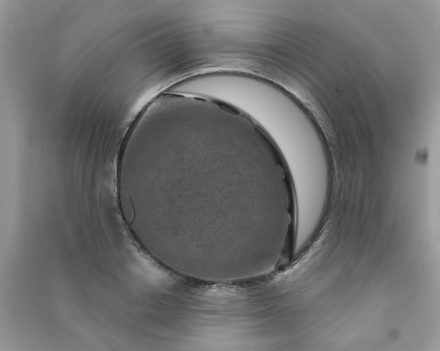 X0000091000842200708161936