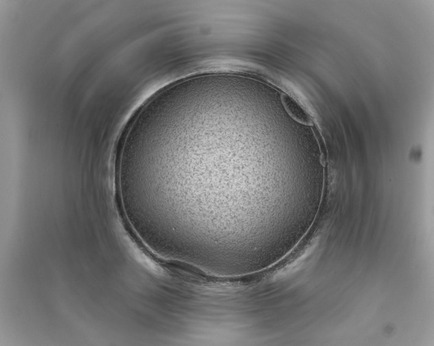 X0000091000843200708161936