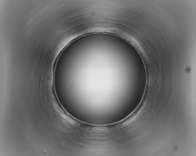X0000091000844200708161936