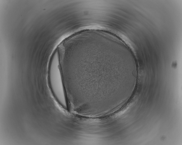 X0000091000845200708161936