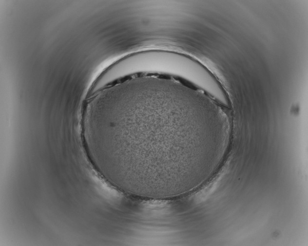 X0000091000846200708161936
