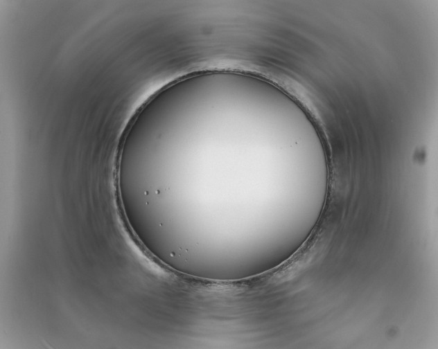 X0000091000847200708161936