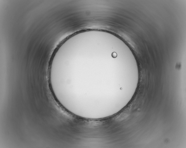 X0000091000848200708161936