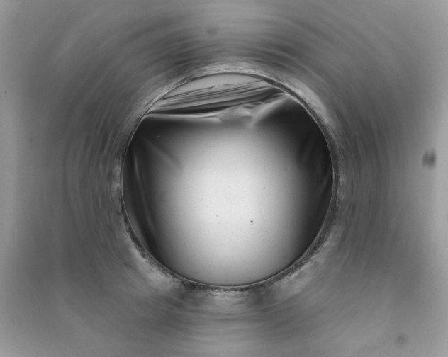 X0000091000849200708161936