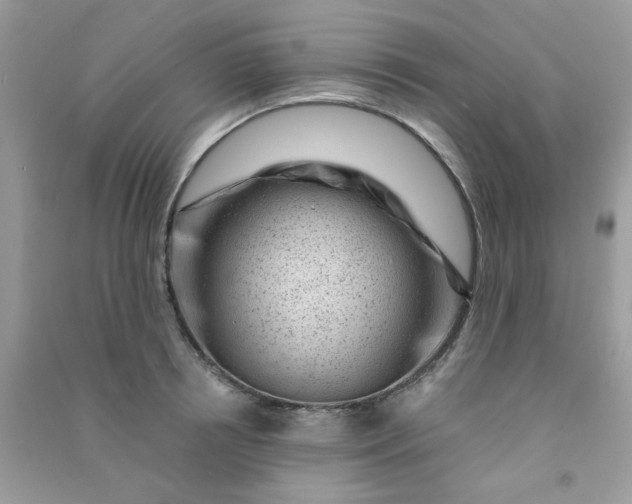 X0000091000850200708161936