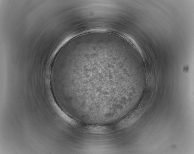 X0000091000851200708161936