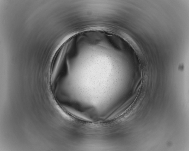 X0000091000852200708161937