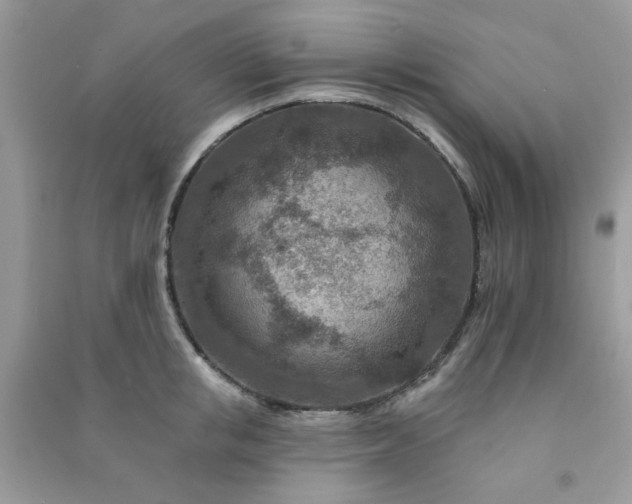 X0000091000853200708161937