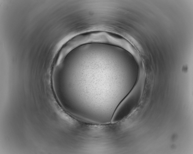 X0000091000854200708161937
